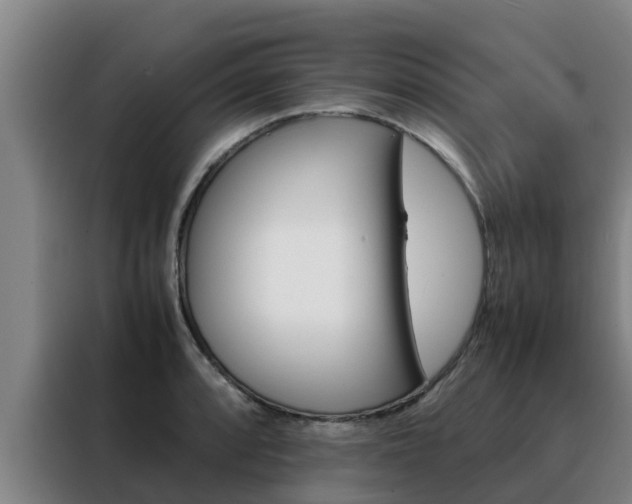 X0000088481088200705220956