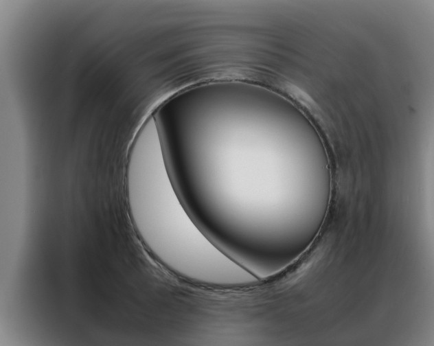 X0000088481089200705220956