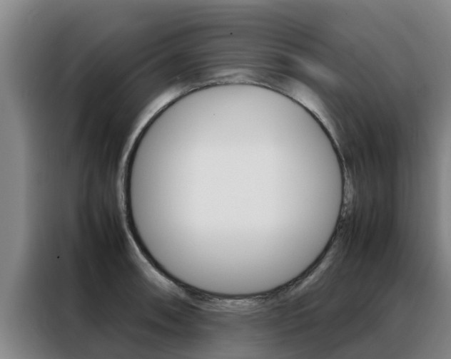 X0000088481090200705220956
