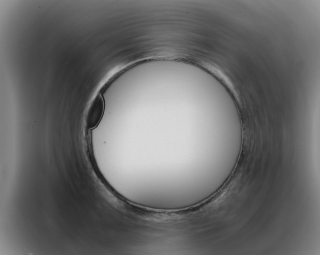 X0000088481091200705220956