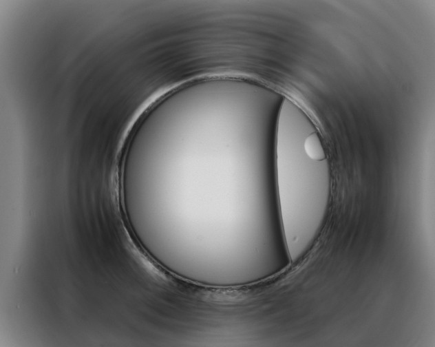 X0000088481092200705220956