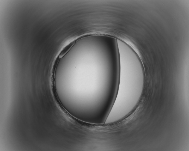 X0000088481093200705220956