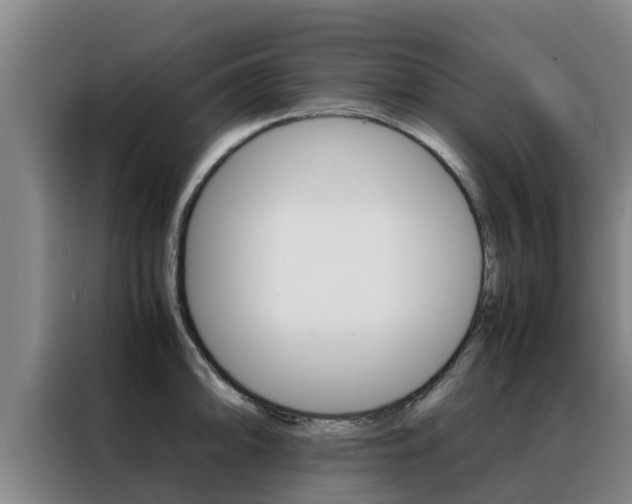 X0000088481094200705220956