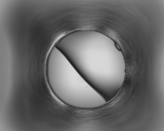 X0000088481095200705220956
