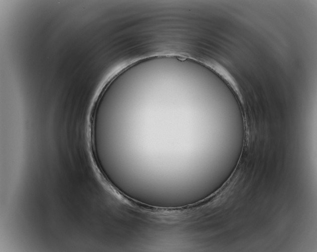 X0000088481096200705220956