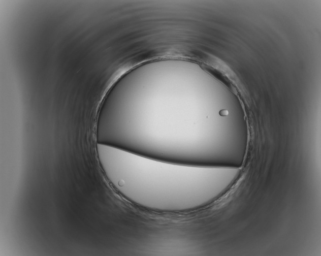 X0000088481097200705220956