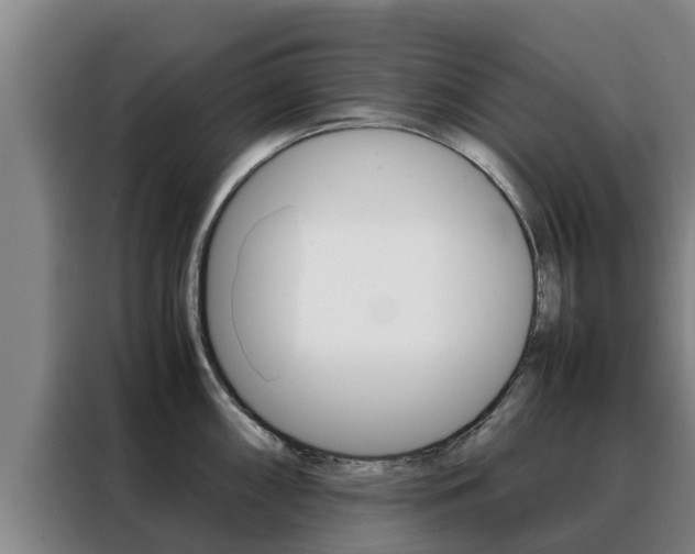 X0000088481098200705220956