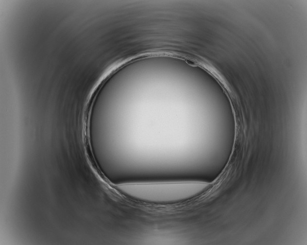 X0000088481101200705220956