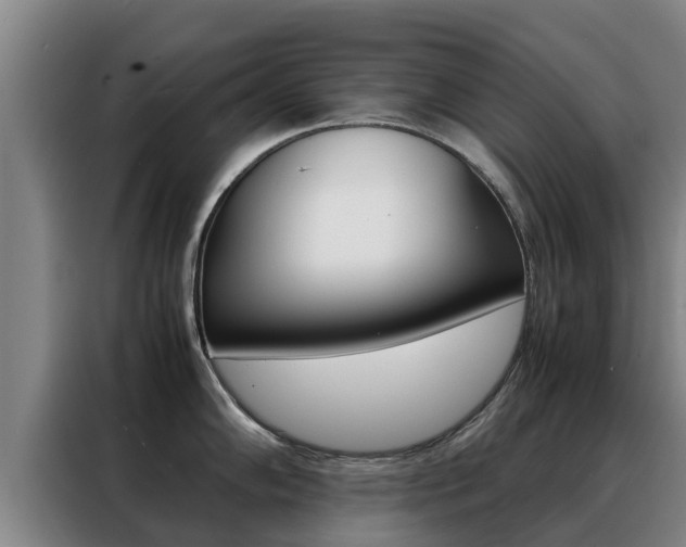 X0000088481102200705220955