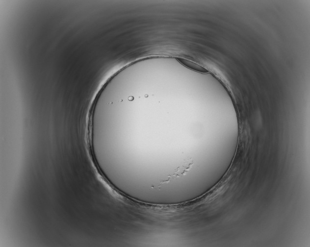 X0000088481103200705220955