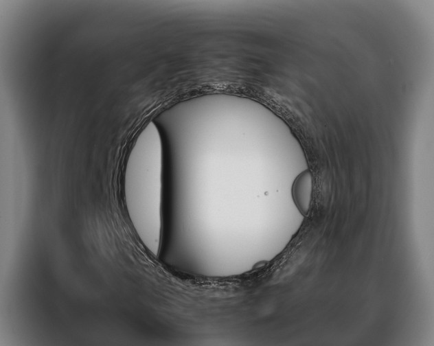 X0000088481105200705220955