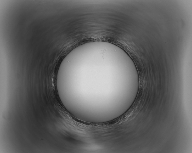 X0000088481106200705220955