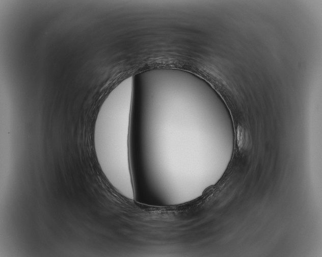 X0000088481107200705220955