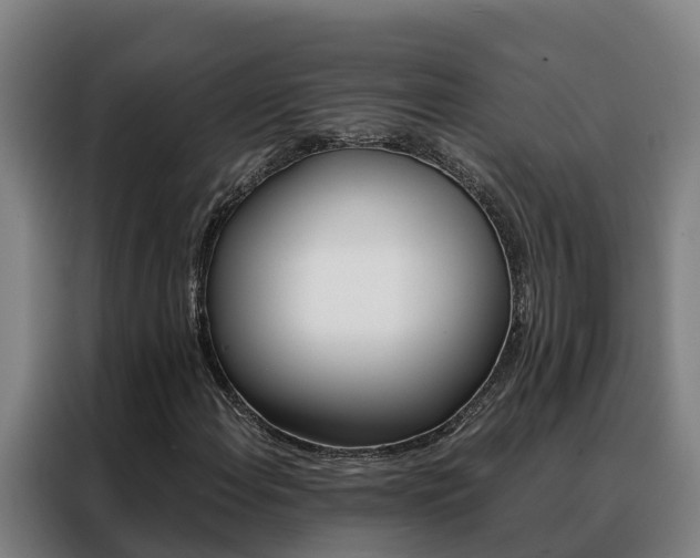 X0000088481108200705220955