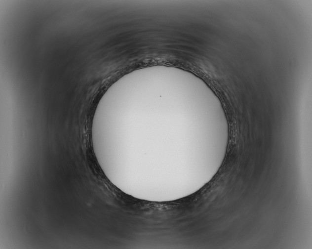 X0000088481109200705220955