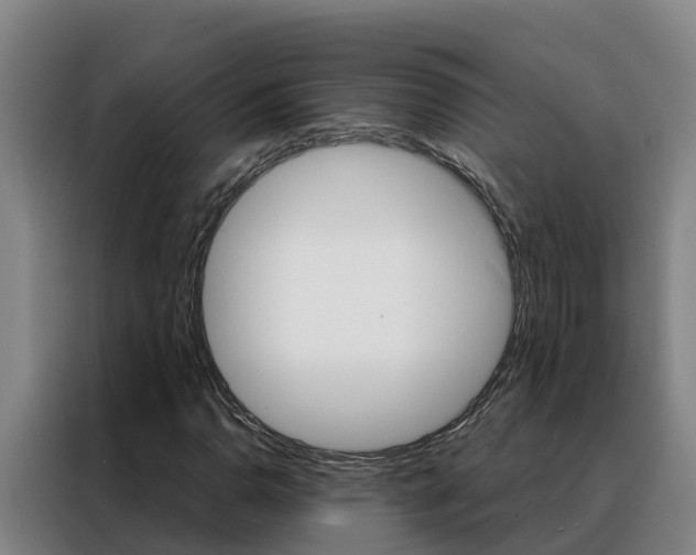 X0000088481110200705220955