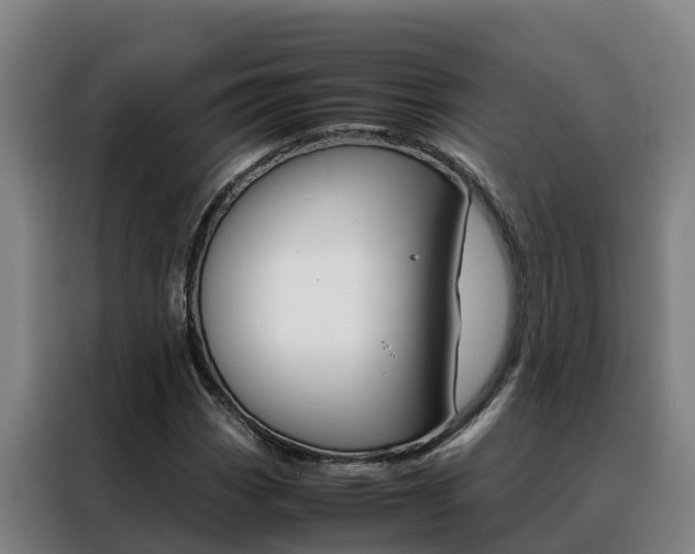 X0000088481113200705220955
