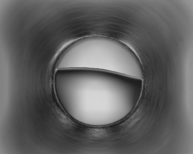X0000088481115200705220955