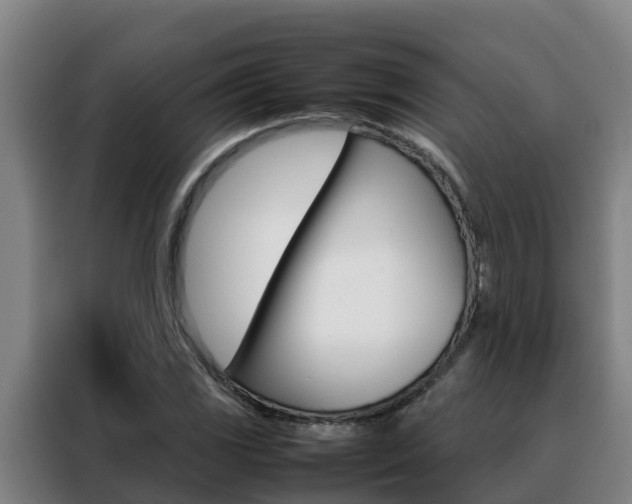 X0000088481117200705220955