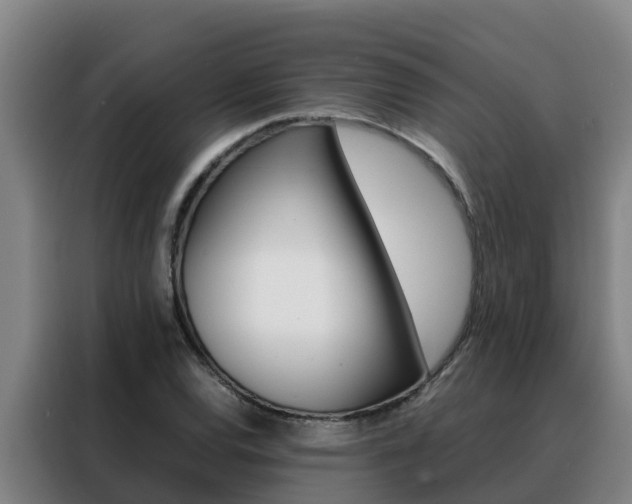 X0000088481120200705220955