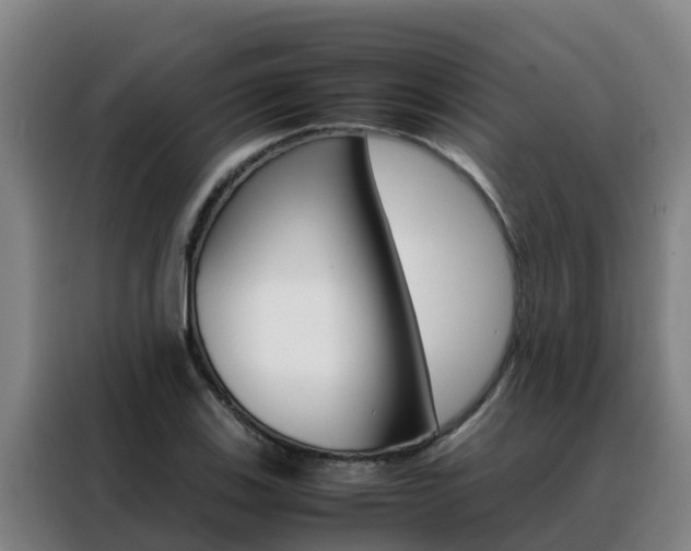 X0000088481123200705220955