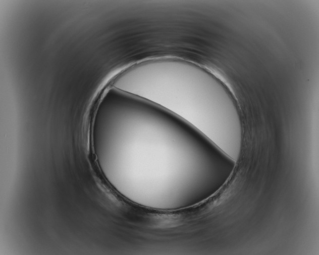 X0000088481127200705220955