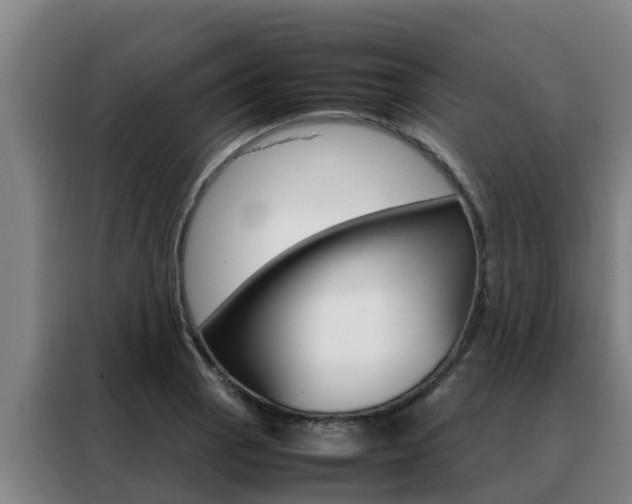 X0000088481129200705220955