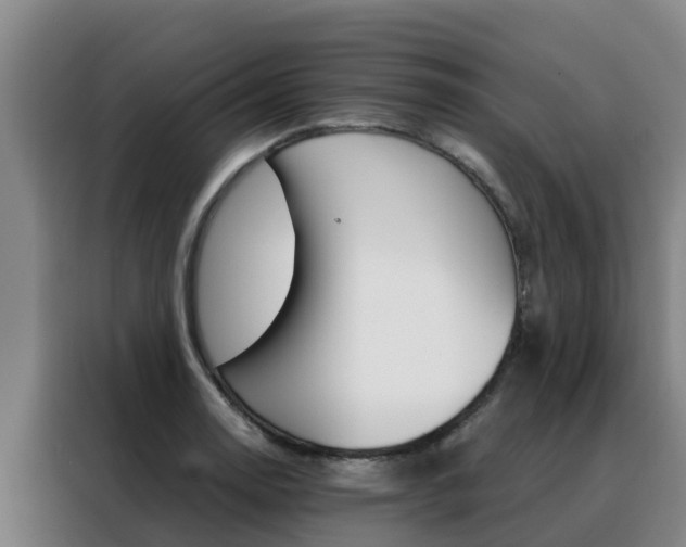 X0000088481130200705220955