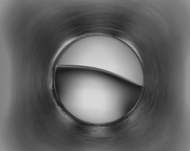 X0000088481131200705220955