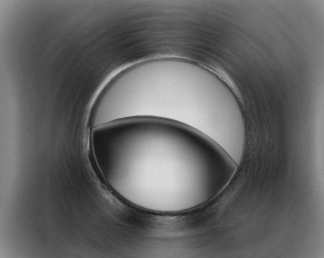X0000088481132200705220955