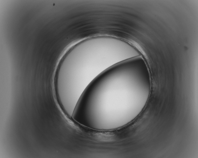 X0000088481133200705220955