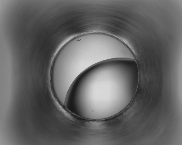 X0000088481134200705220955