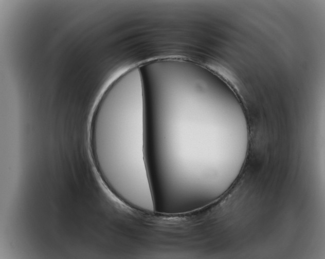 X0000088481135200705220955