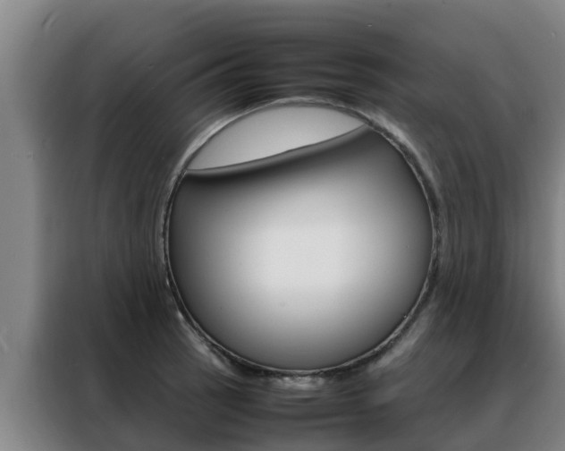 X0000088481137200705220955