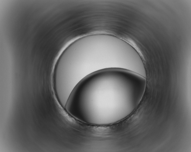X0000088481140200705220955