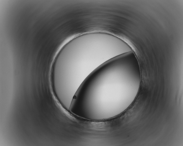 X0000088481142200705220955