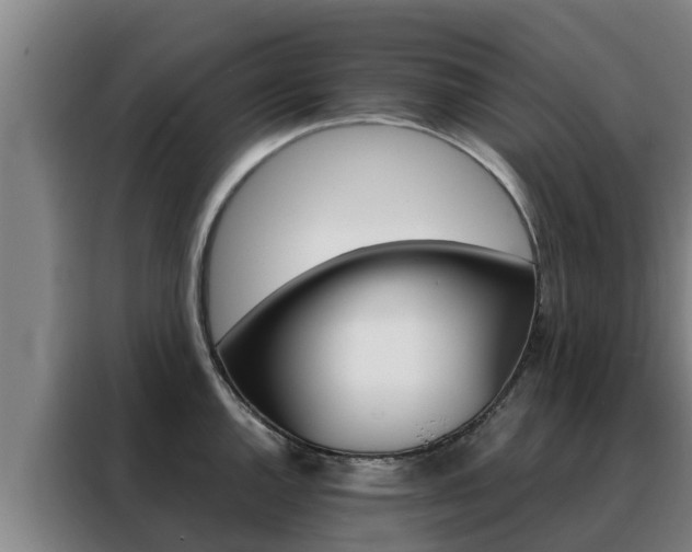 X0000088481144200705220955