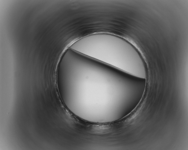 X0000088481145200705220955