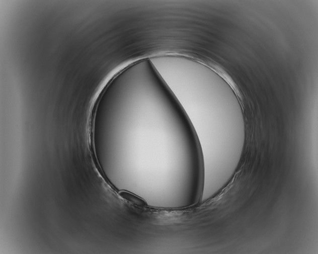 X0000088481148200705220955