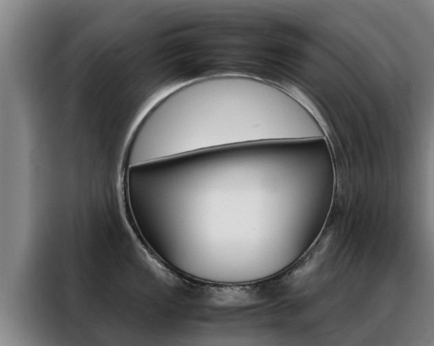 X0000088481149200705220955