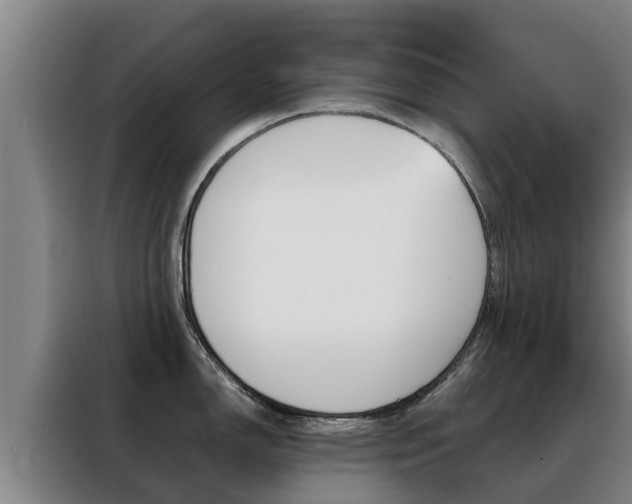 X0000088481150200705220955
