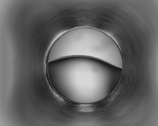X0000088481151200705220955