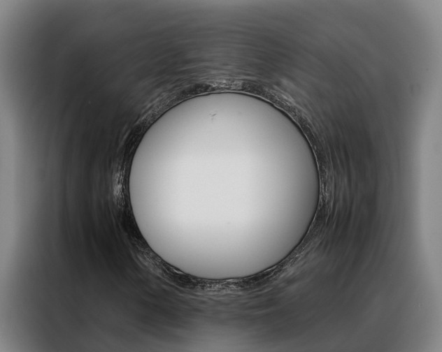 X0000088481154200705220955