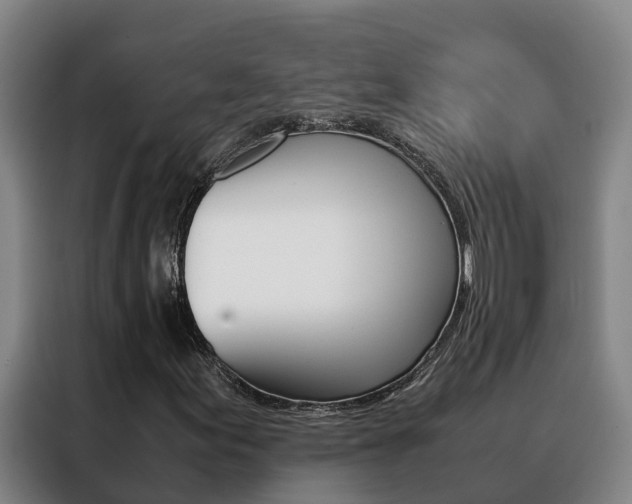 X0000088481155200705220955