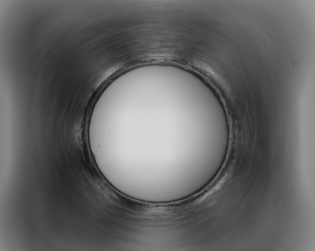 X0000088481162200705220955