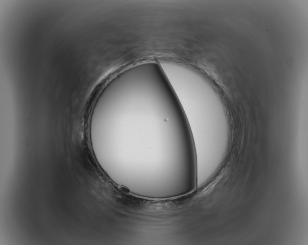 X0000088481165200705220955