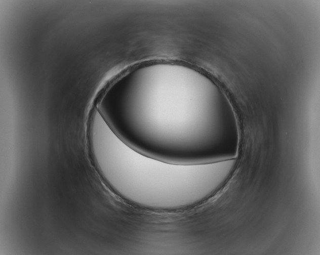 X0000088481168200705220955