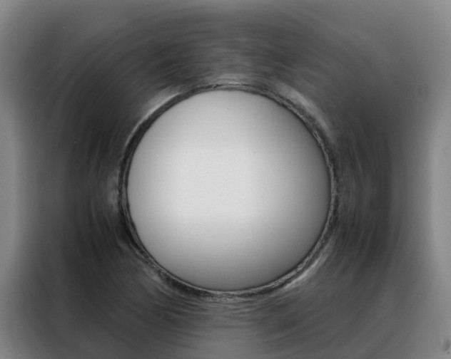 X0000088481170200705220955