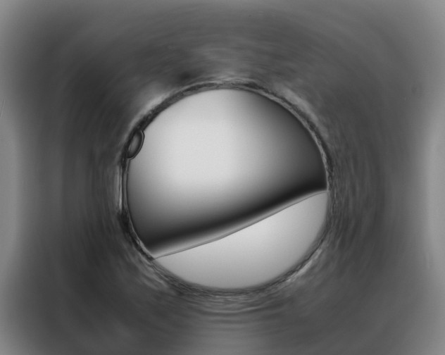 X0000088481171200705220955