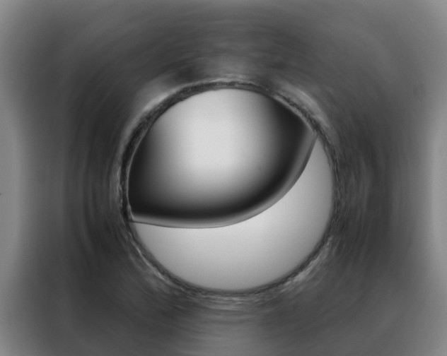 X0000088481172200705220955